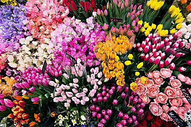 《我们之中》火出圈 出现在电视节目《危险边缘》中