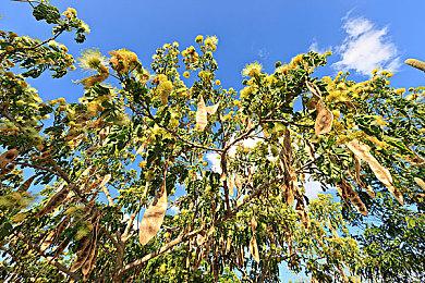 ARPG《碧蓝幻想：ReLink》开发接近完成 8月公布新消息